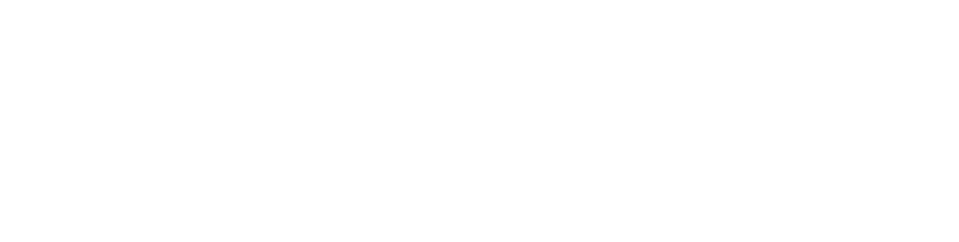 project logo