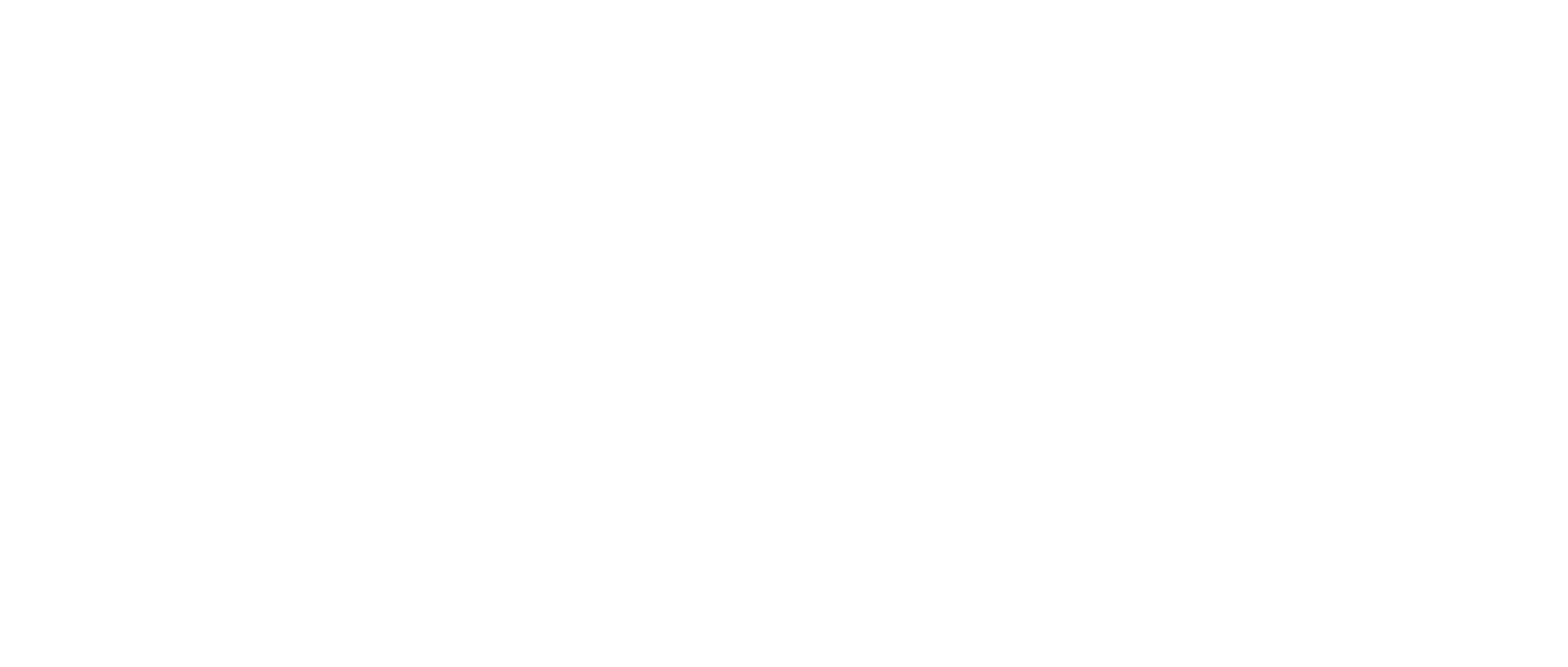 project logo